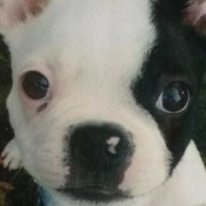 Meet your Posher, Julian